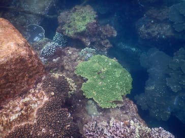 うぐるBOXに投稿された画像（2024/7/14）