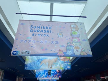 アクアワールド茨城県大洗水族館に投稿された画像（2024/7/14）