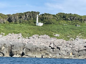 東尋坊観光遊覧船株式会社に投稿された画像（2024/7/13）