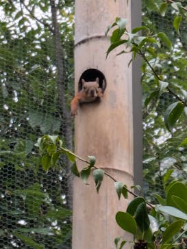 神戸どうぶつ王国に投稿された画像（2024/7/14）