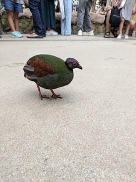 神戸どうぶつ王国に投稿された画像（2024/7/14）