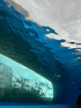 サンシャイン水族館に投稿された画像（2024/7/14）