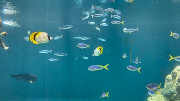 葛西臨海水族園に投稿された画像（2024/7/14）