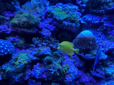 マクセル アクアパーク品川に投稿された画像（2024/7/14）