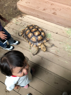 カワスイ 川崎⽔族館に投稿された画像（2024/7/14）