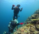 沖縄ダイビングショップシーモールに投稿された画像（2024/7/14）