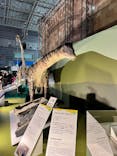 巨大恐竜展2024に投稿された画像（2024/7/14）