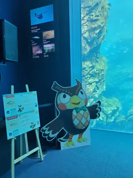 仙台うみの杜水族館に投稿された画像（2024/7/14）