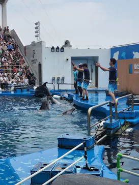 仙台うみの杜水族館に投稿された画像（2024/7/14）