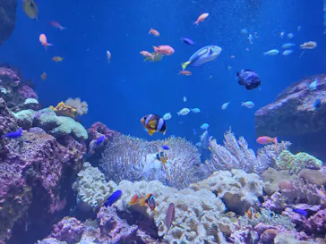 仙台うみの杜水族館に投稿された画像（2024/7/14）