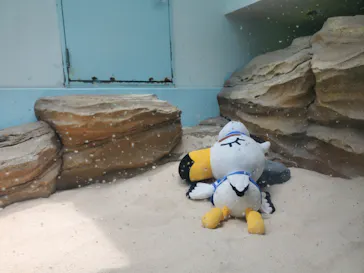 仙台うみの杜水族館に投稿された画像（2024/7/14）