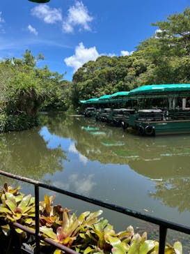 ビオスの丘に投稿された画像（2024/7/14）