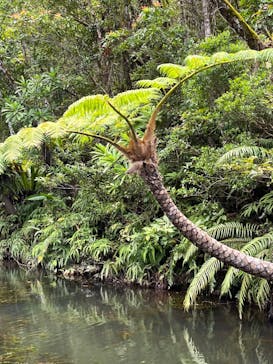 ビオスの丘に投稿された画像（2024/7/14）