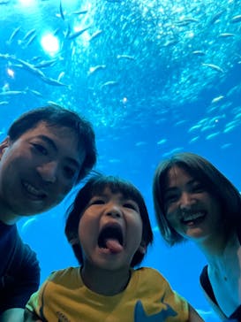 アクアワールド茨城県大洗水族館に投稿された画像（2024/7/14）