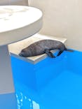 アクアワールド茨城県大洗水族館に投稿された画像（2024/7/14）