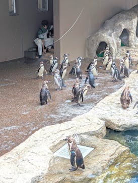 アクアワールド茨城県大洗水族館に投稿された画像（2024/7/14）