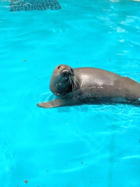 アクアワールド茨城県大洗水族館に投稿された画像（2024/7/14）