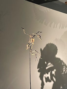 DinoScience 恐竜科学博 ～ララミディア大陸の恐竜物語～ 2024@OSAKAに投稿された画像（2024/7/14）