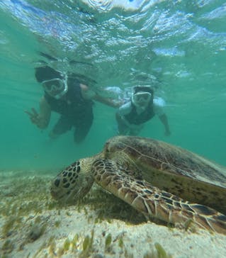 nico 宮古島に投稿された画像（2024/7/14）