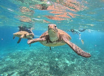 西表島 ADVENTURE PiPi（アドベンチャーピピ）に投稿された画像（2024/7/14）