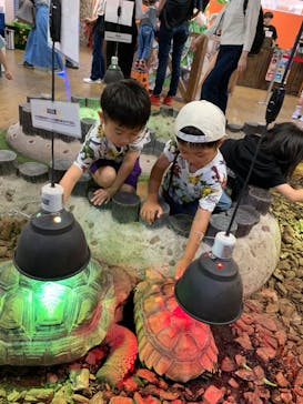 NARA IKIMONO MUSEUMに投稿された画像（2024/7/14）