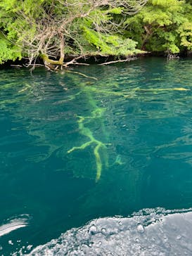 リブパイオニアに投稿された画像（2024/7/14）