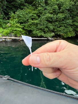 リブパイオニアに投稿された画像（2024/7/14）