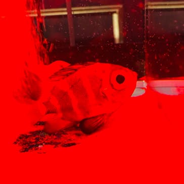 仙台うみの杜水族館に投稿された画像（2024/7/14）