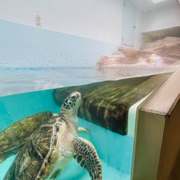 仙台うみの杜水族館に投稿された画像（2024/7/14）