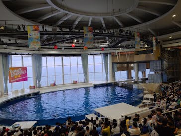 アクアワールド茨城県大洗水族館に投稿された画像（2024/7/14）