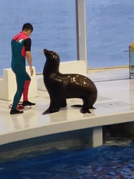 アクアワールド茨城県大洗水族館に投稿された画像（2024/7/14）