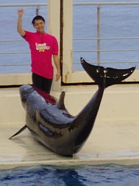 アクアワールド茨城県大洗水族館に投稿された画像（2024/7/14）