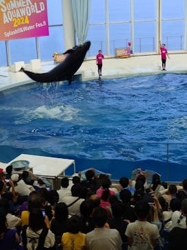 アクアワールド茨城県大洗水族館に投稿された画像（2024/7/14）