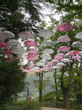 ムーミンバレーパークに投稿された画像（2024/7/14）