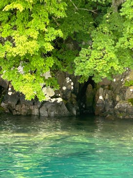 リブパイオニアに投稿された画像（2024/7/14）