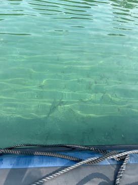 リブパイオニアに投稿された画像（2024/7/14）