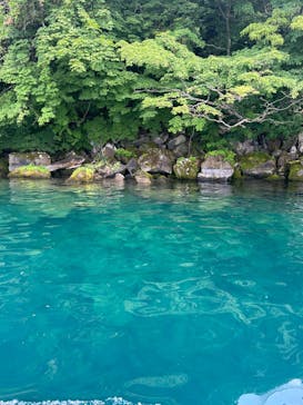 リブパイオニアに投稿された画像（2024/7/14）