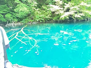 リブパイオニアに投稿された画像（2024/7/14）