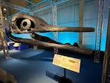 巨大恐竜展2024に投稿された画像（2024/7/14）