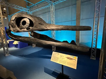 巨大恐竜展2024に投稿された画像（2024/7/14）