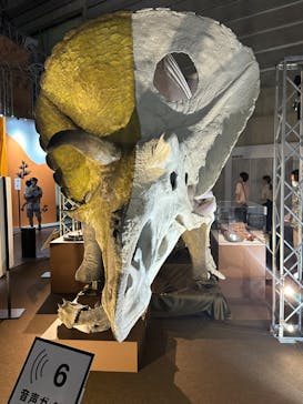 巨大恐竜展2024に投稿された画像（2024/7/14）