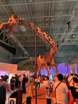 巨大恐竜展2024に投稿された画像（2024/7/14）
