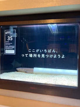 横浜開運水族館 フォーチュンアクアリウムに投稿された画像（2024/7/14）