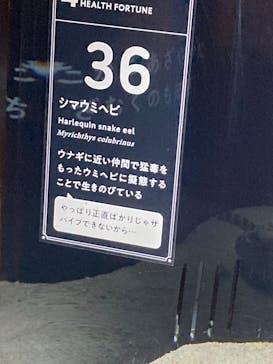 横浜開運水族館 フォーチュンアクアリウムに投稿された画像（2024/7/14）