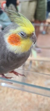 いきもの探検隊上尾に投稿された画像（2024/7/14）