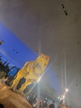 福井県立恐竜博物館に投稿された画像（2024/7/14）