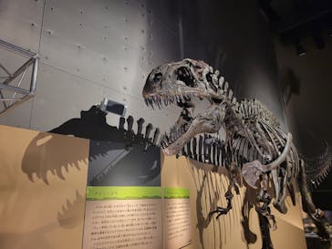 福井県立恐竜博物館に投稿された画像（2024/7/14）