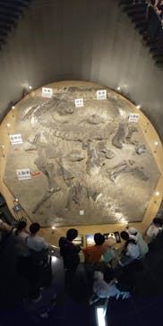 福井県立恐竜博物館に投稿された画像（2024/7/14）