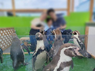 南知多ビーチランド＆南知多おもちゃ王国に投稿された画像（2024/7/14）