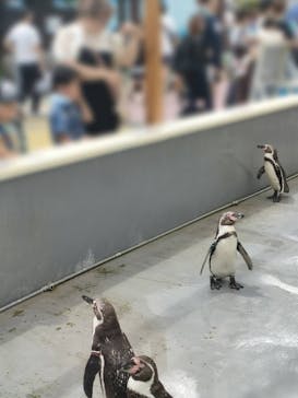 南知多ビーチランド＆南知多おもちゃ王国に投稿された画像（2024/7/14）